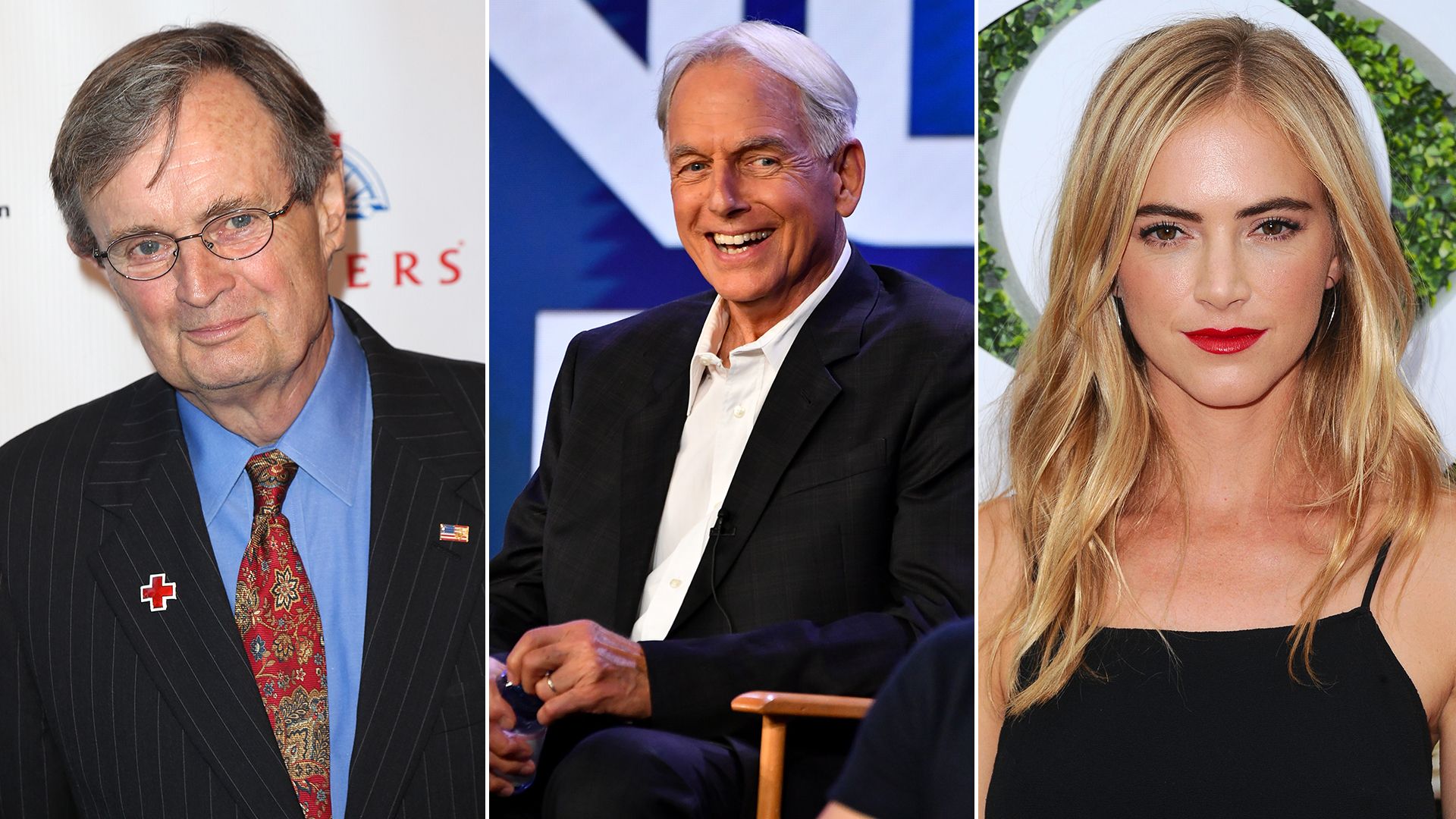 NCIS stars who almost took different career paths: From Mark Harmon to David McCallum and Emily Wickersham