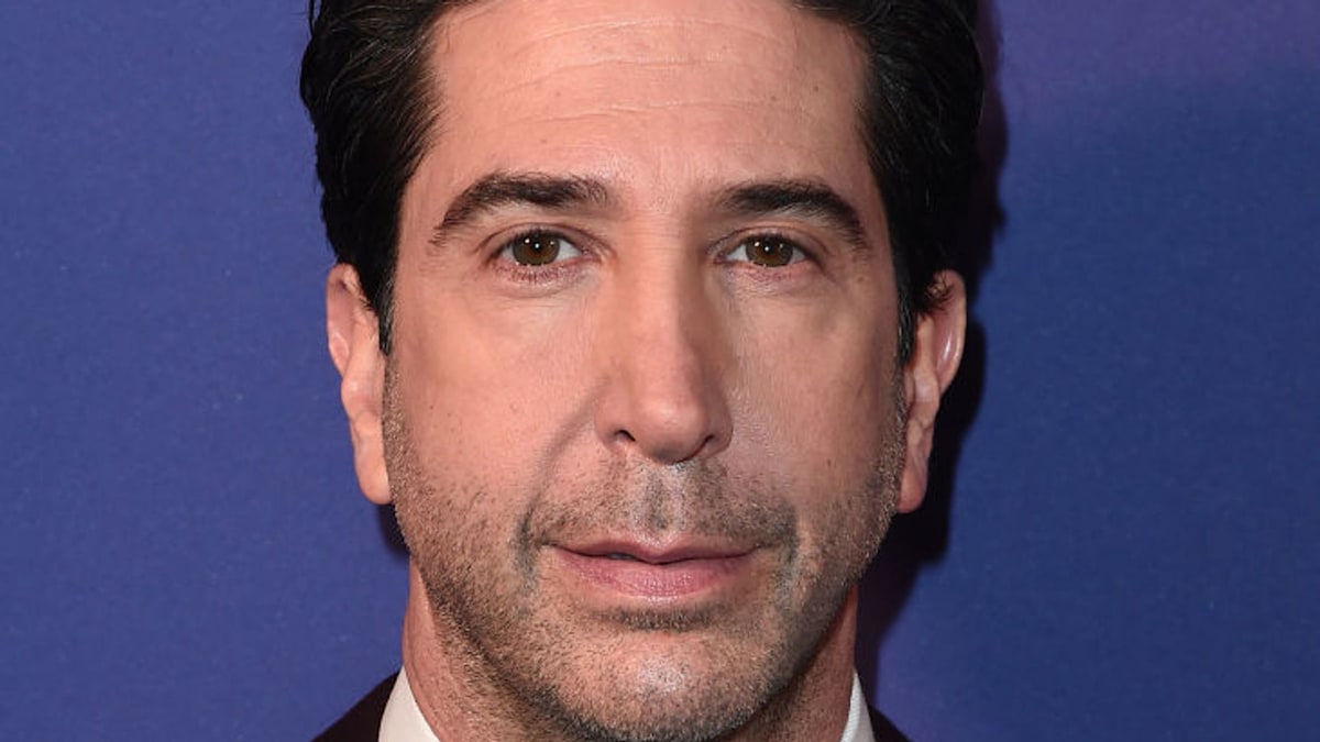 David Schwimmer - Biography | HELLO!