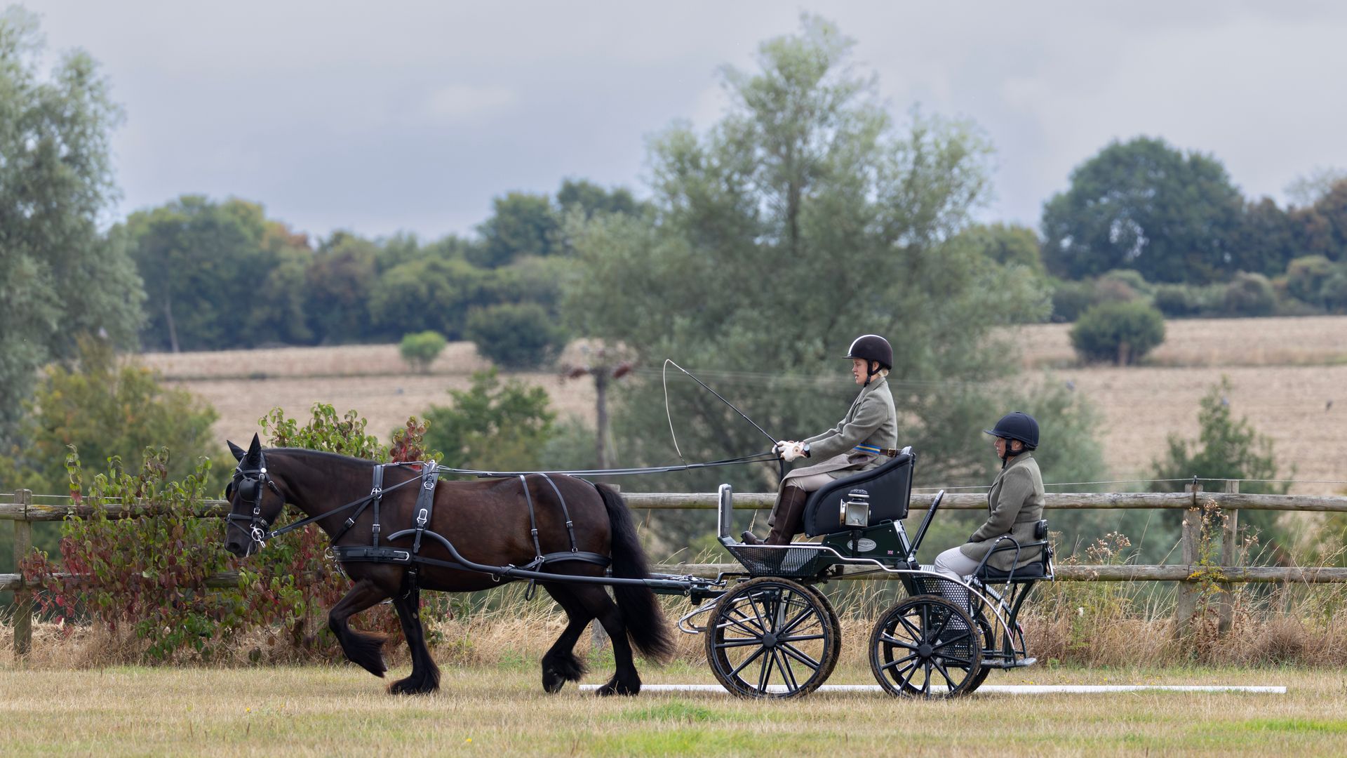 Side view of Lady Louise Windsor driving a carriage