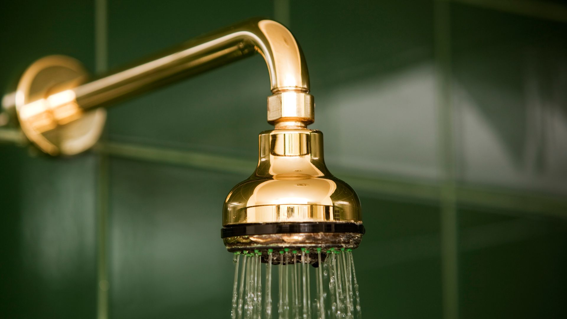 Bathroom Shower Head and Running Water