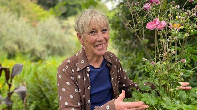 Carol Klein at home in her garden in Devon