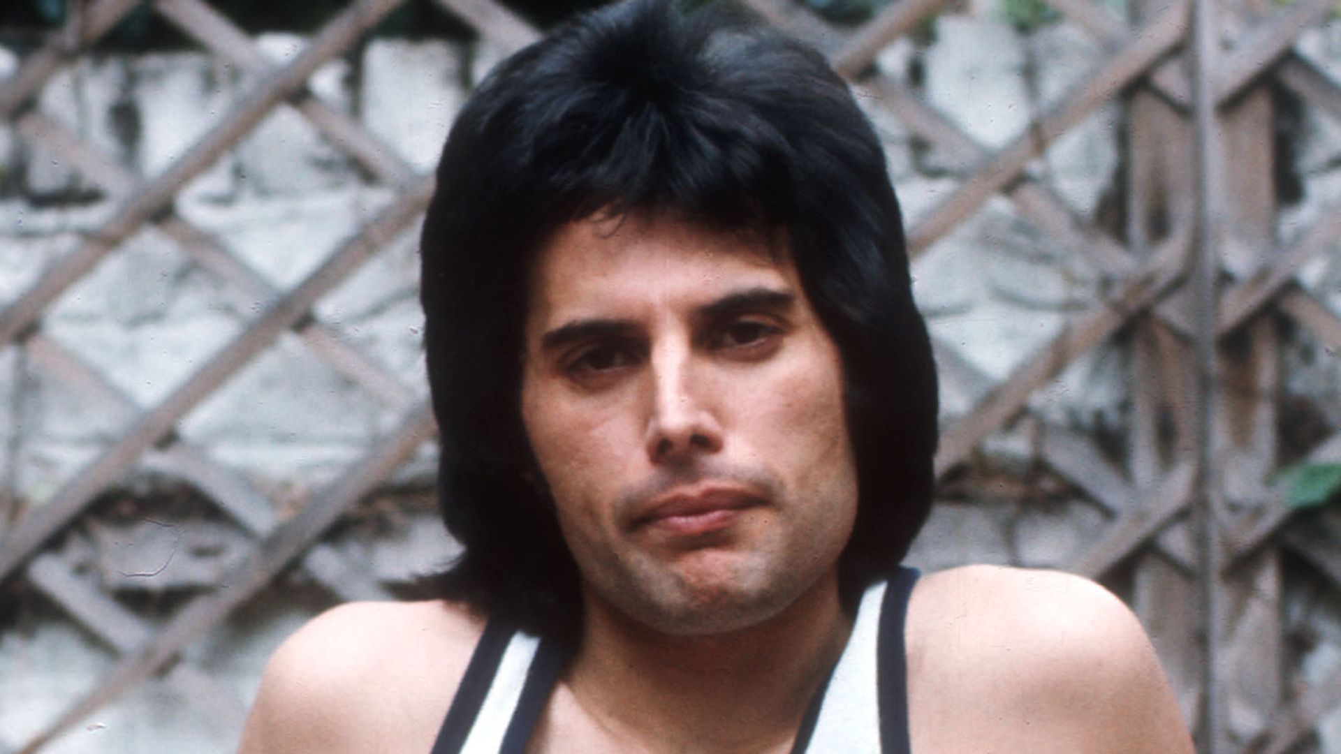 Freddie Mercury of Queen, portrait at home, Holland Park, London, 1975. (Photo by Ian Dickson/Redferns)