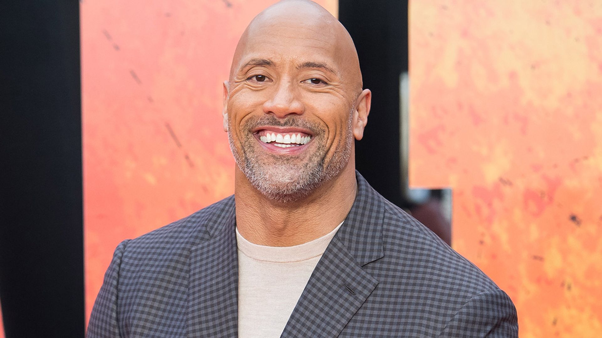 Stop What You're Doing And Look At The Rock's Eyebrow