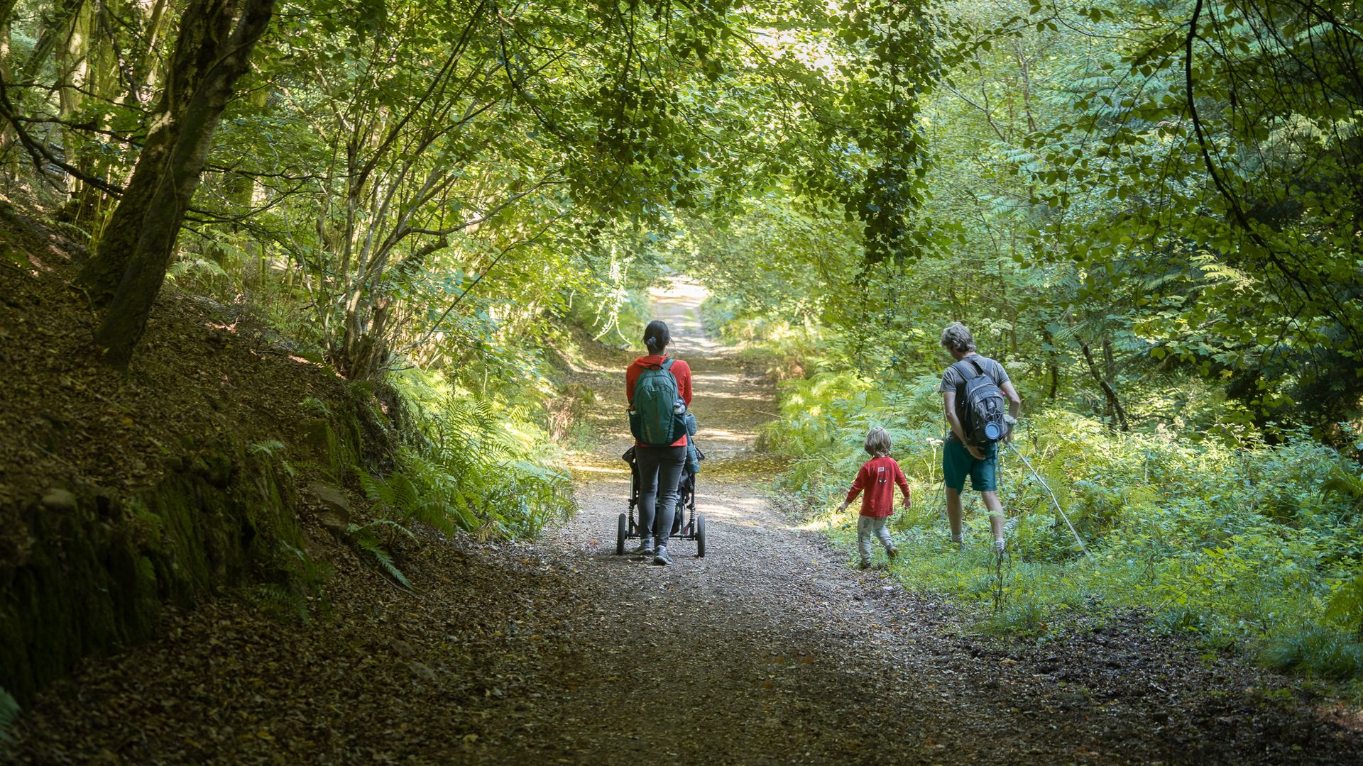 There are plenty of walks to explore with the family in the Forest of Dean
