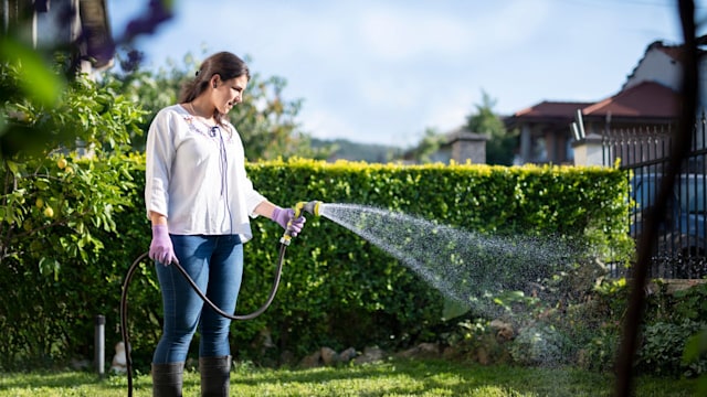 woman watering garden with hose