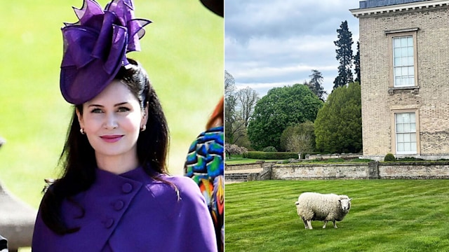 Countess Karen Spencer pictured alongside Althorp House with sheep