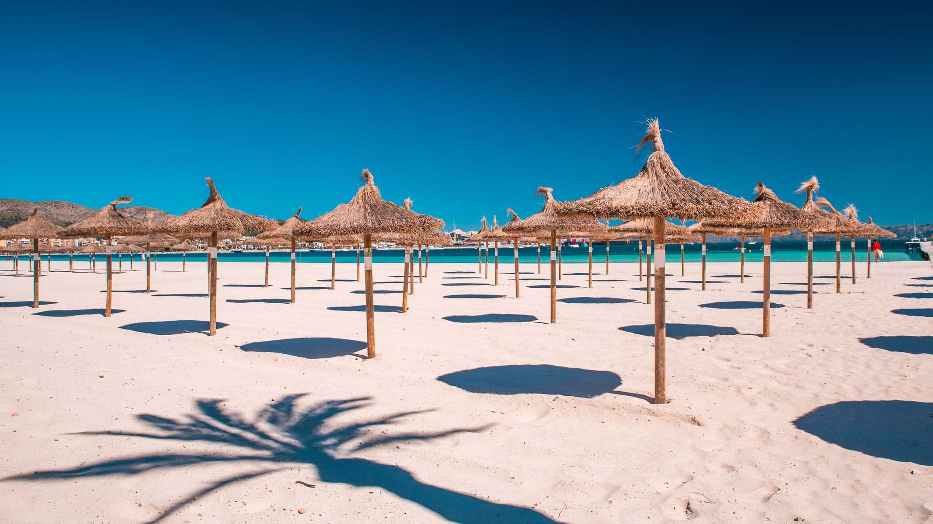Beach umbrellas in the sun