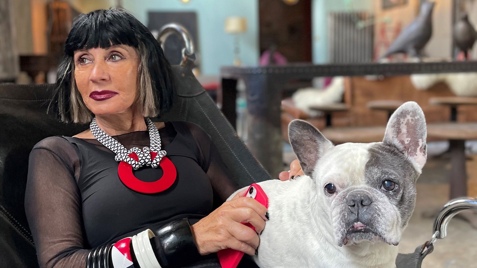 woman sitting with french bulldog