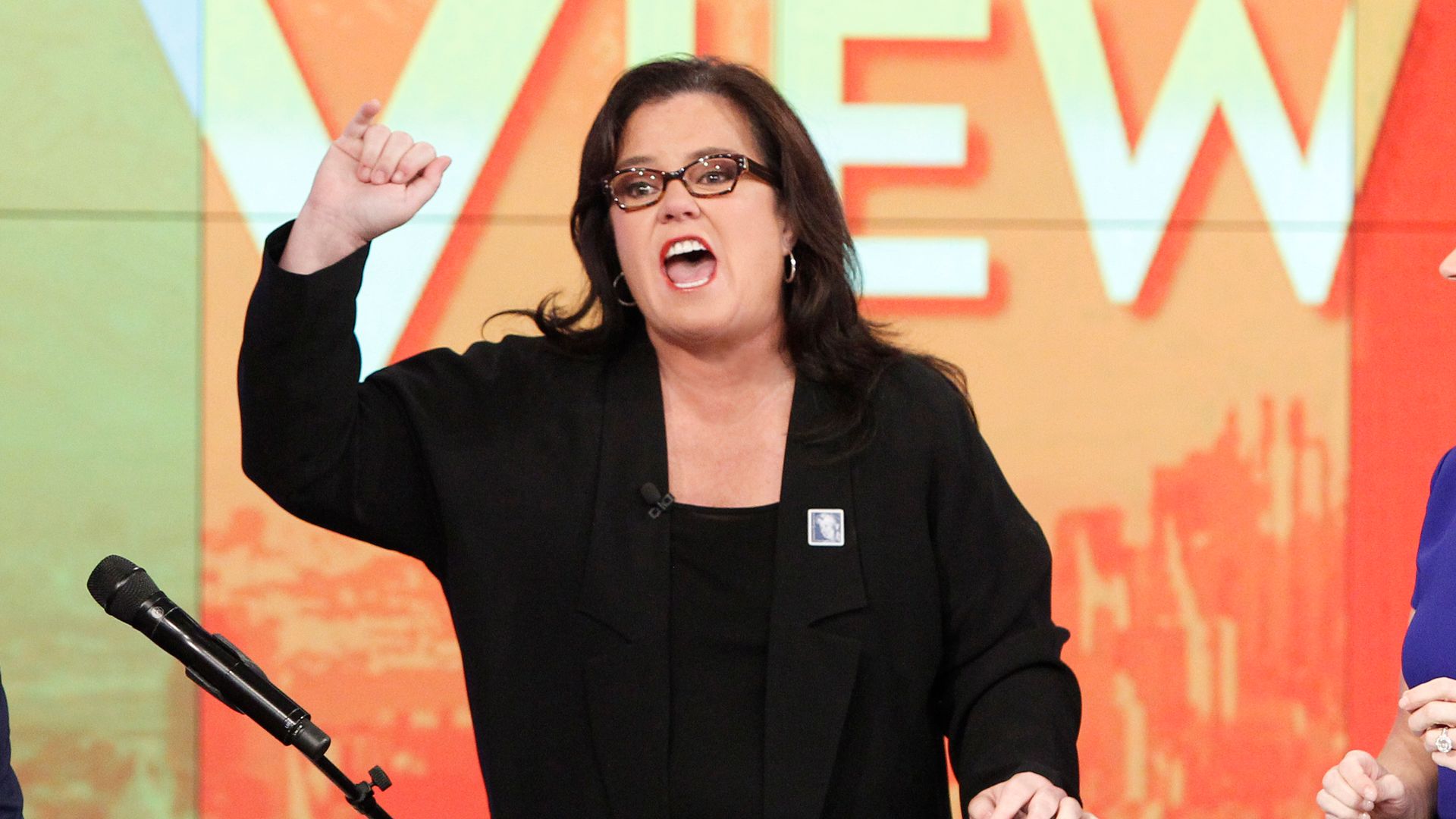 Rosie O Donnell on The View