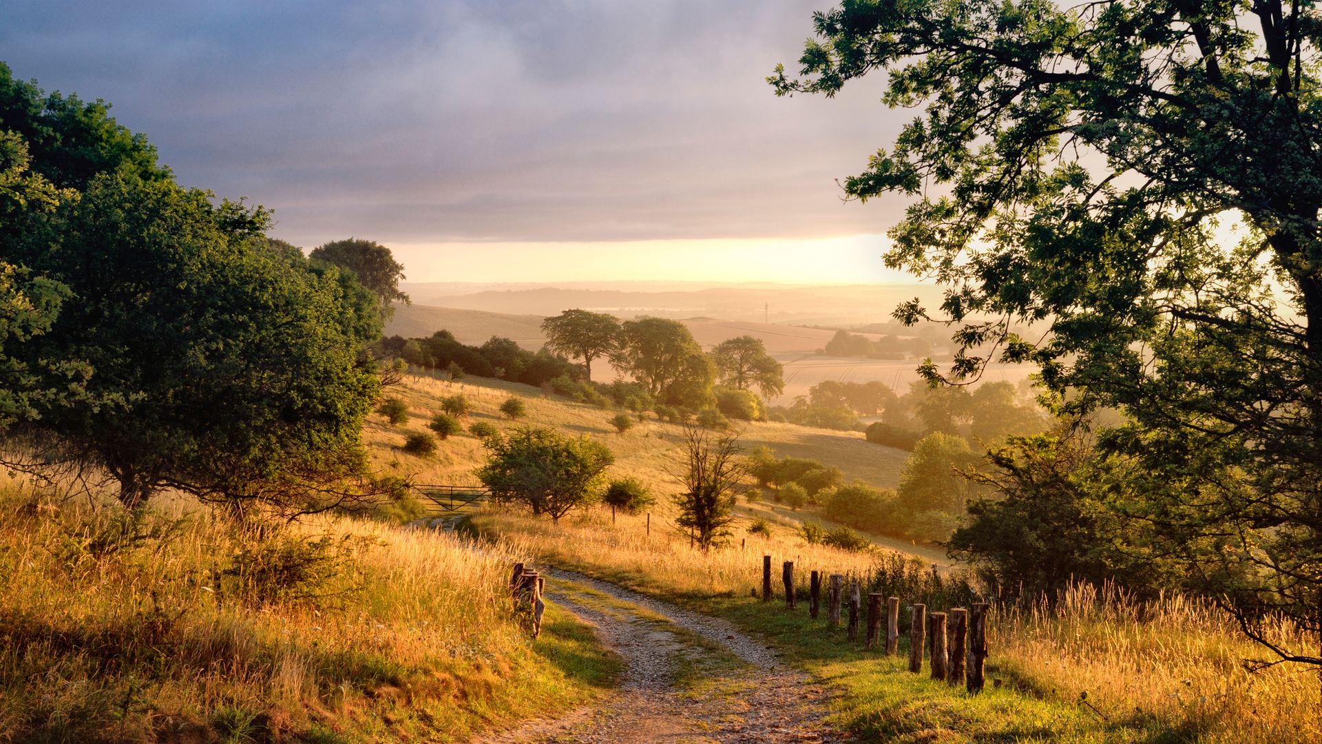 Dawn sunshine in English countryside