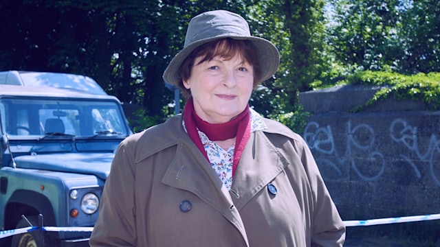 BRENDA BLETHYN as DCI Vera Stanhope