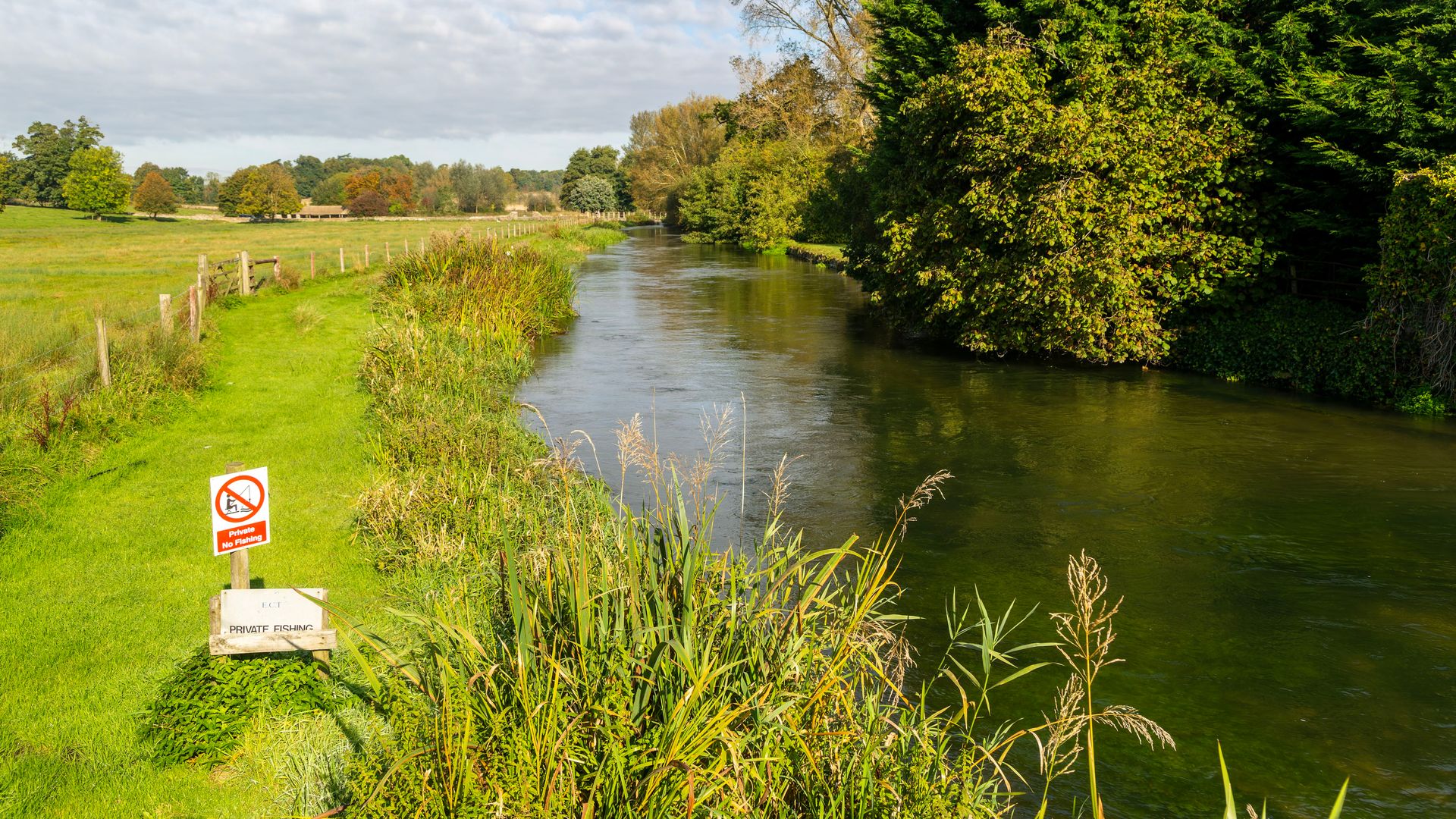 An image of the River Coln flowing past trees