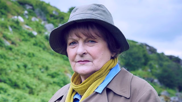 BRENDA BLETHYN as DCI Vera Stanhope