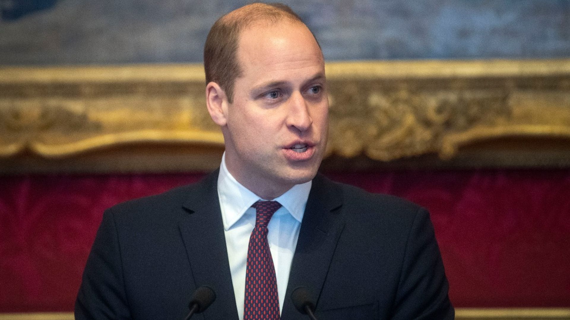 prince william speaking