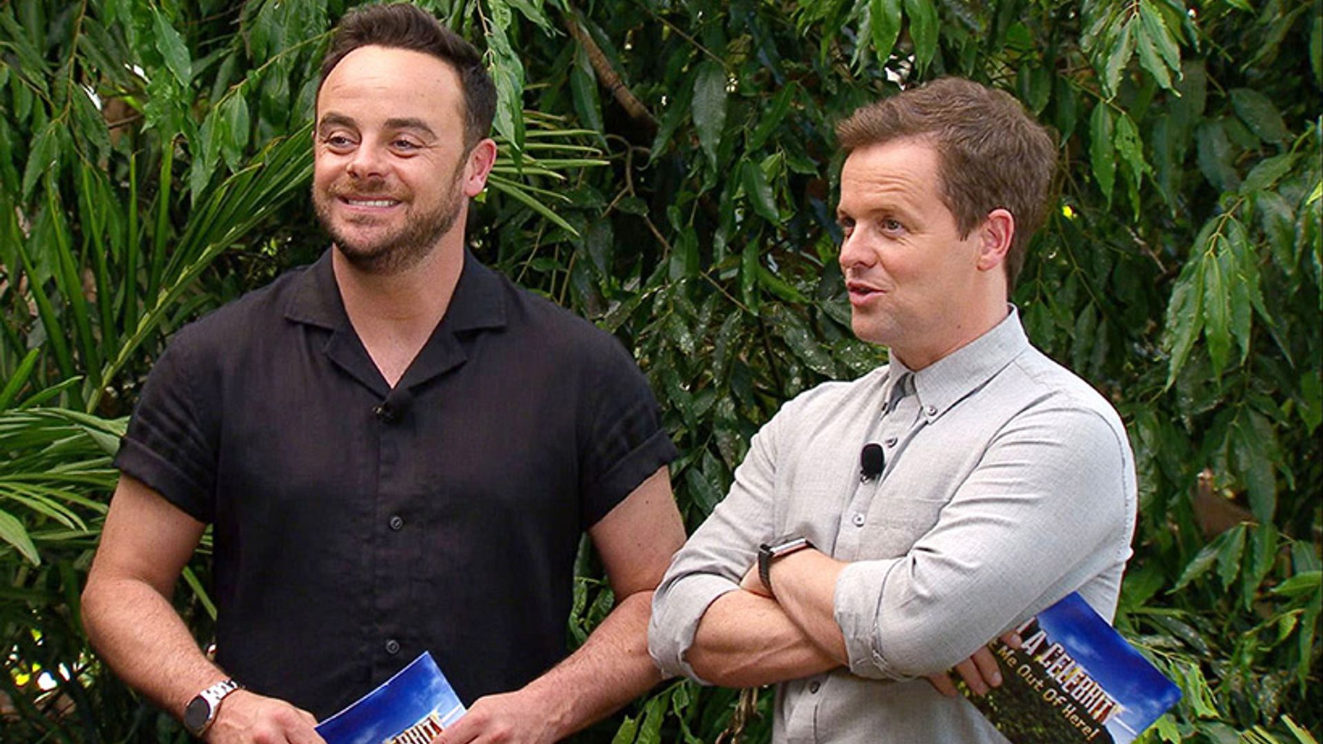 im a celebrity ant and dec