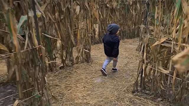 Archie running through maze