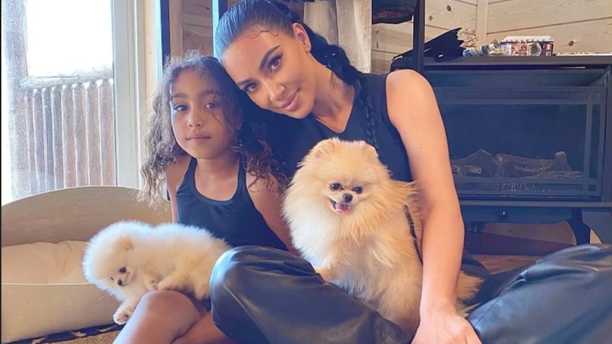year of the dog celebrity designer pets kim kardashian louis