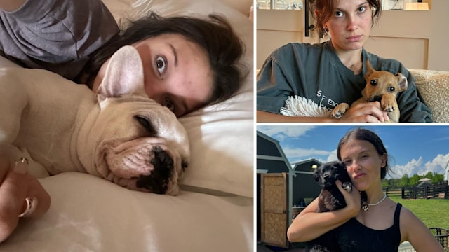 Millie Bobby Brown collage of photos with dogs
