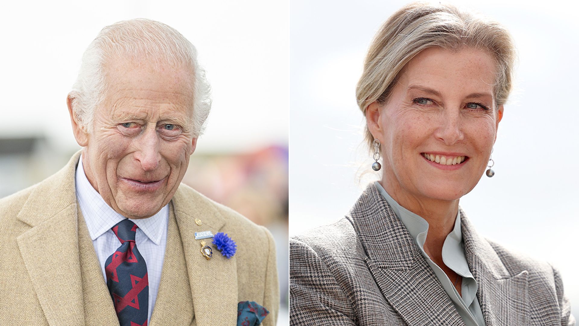 King Charles and Queen Camilla reunite with Duchess Sophie at royal reception – best photos