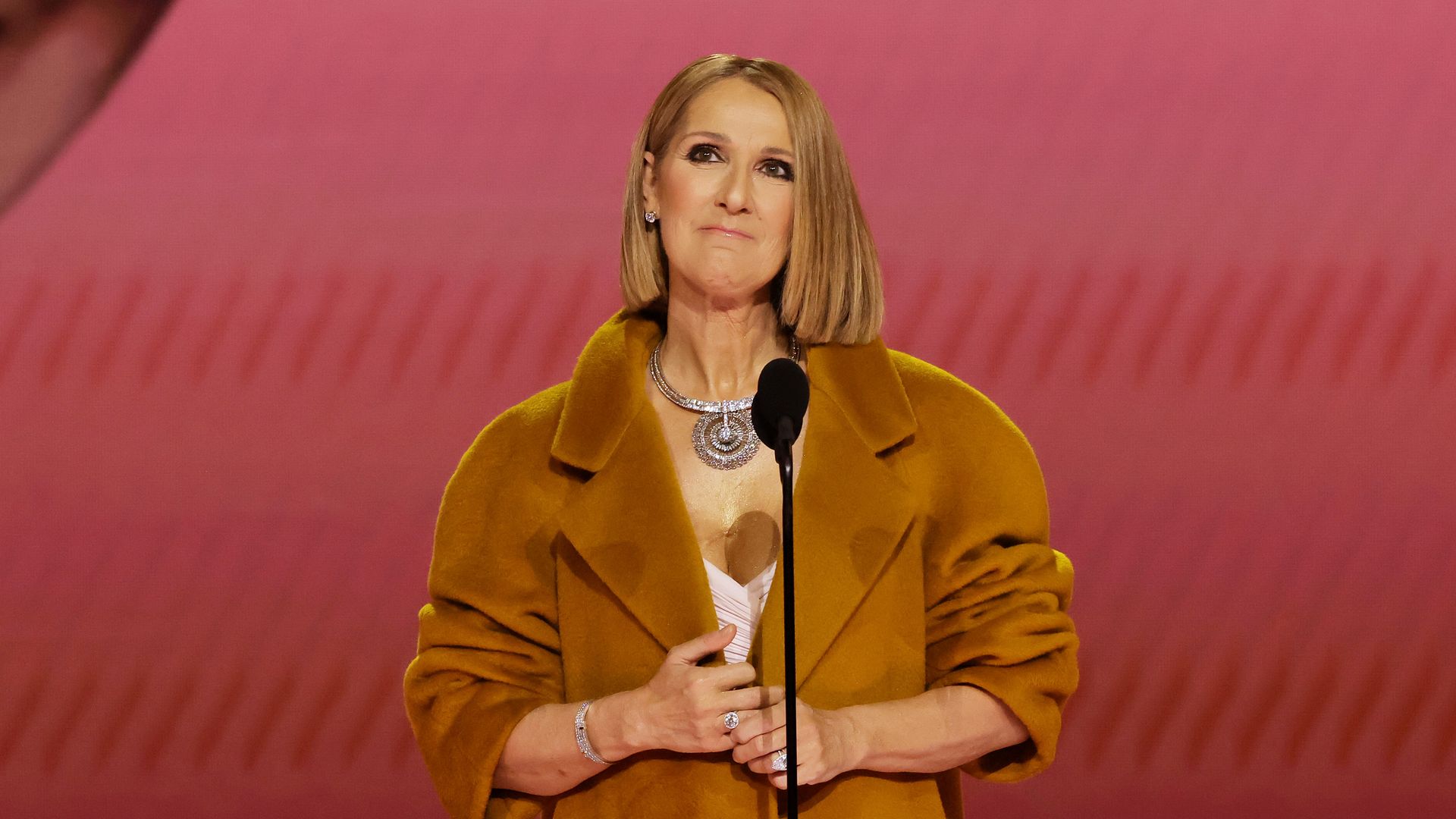 Celine received a standing ovation