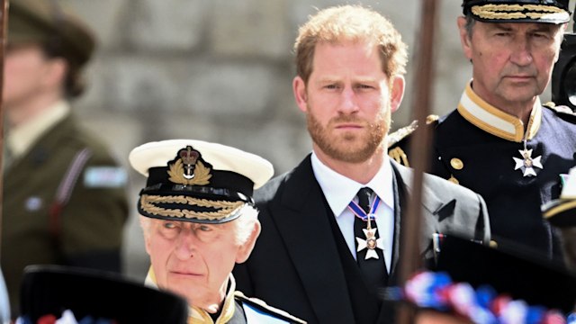 King Charles and Prince Harry 