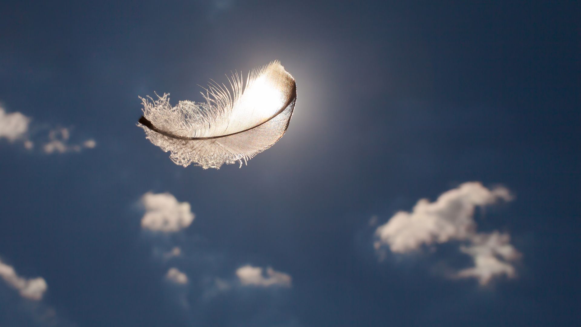 Feather floating in the sky
