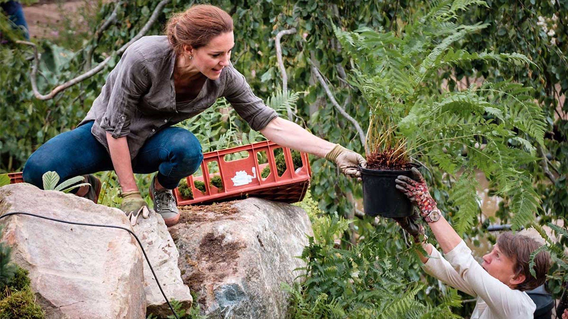 Kate Middleton shares throwback photo from her Back to Nature garden