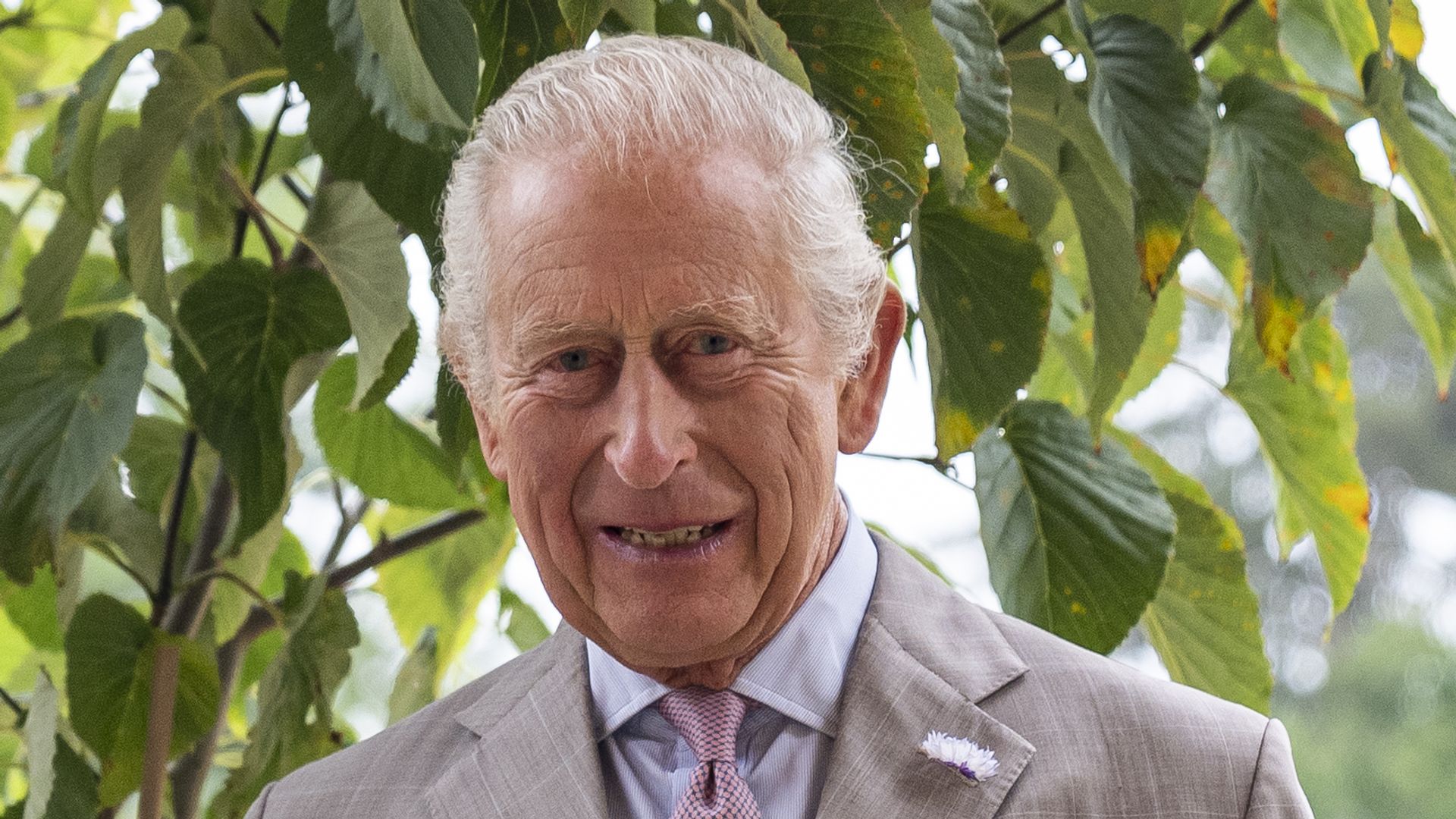 King Charles unveils 'enchanting' views at Sandringham home during winter break