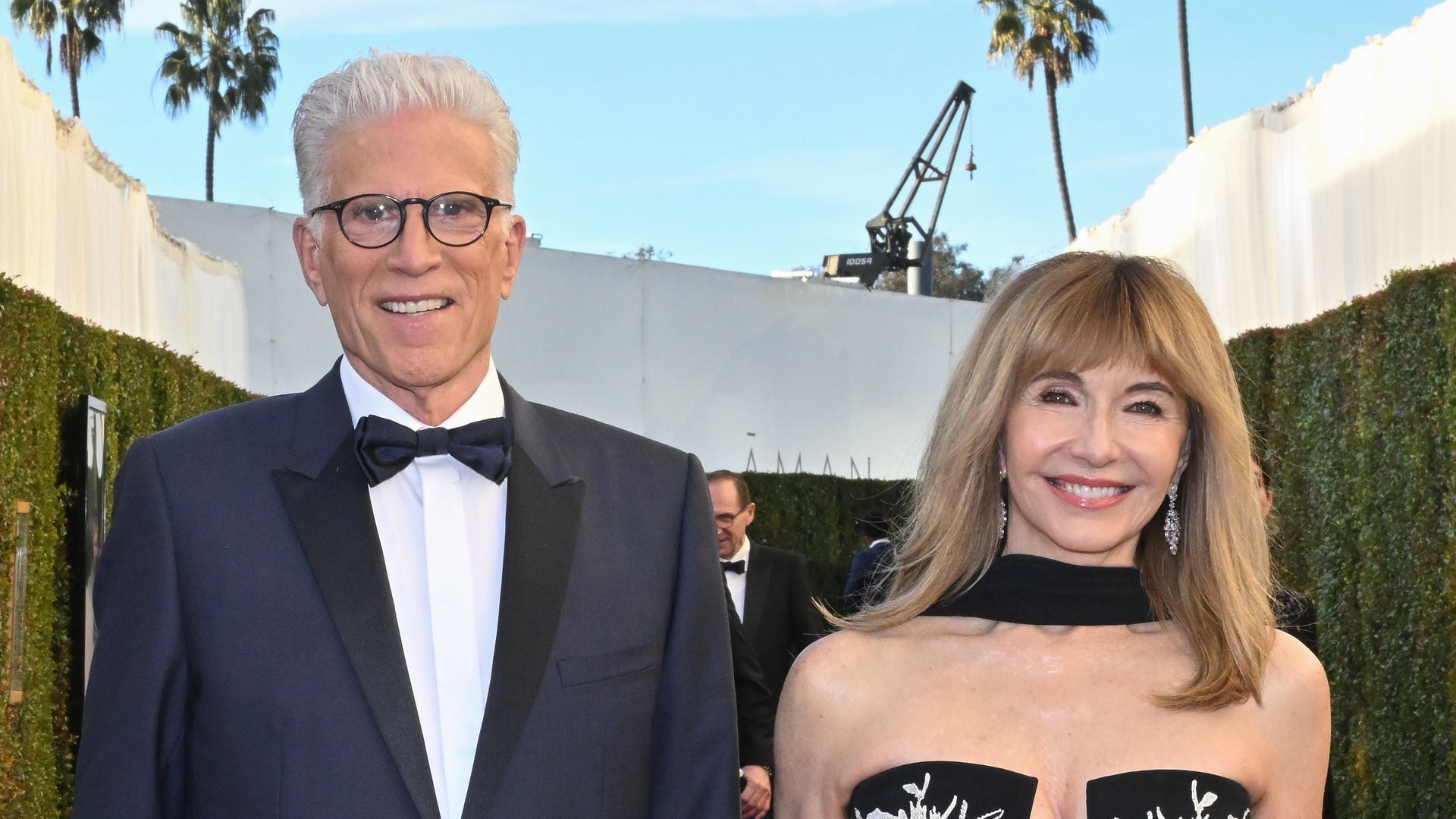 ted danson mary steenburgen