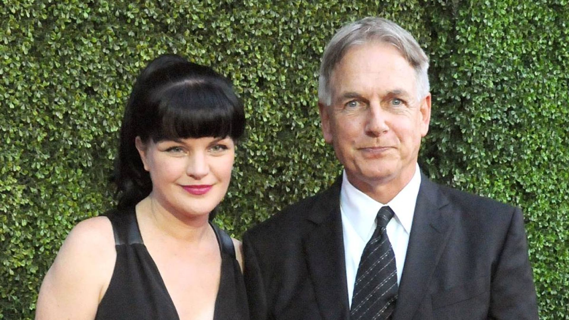 Mark Harmon and Pauley Perrette to return to NCIS? Here's what their co-star teased | HELLO!