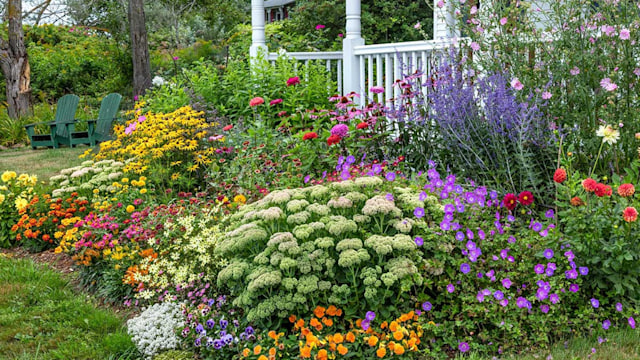 gardening tips add value
