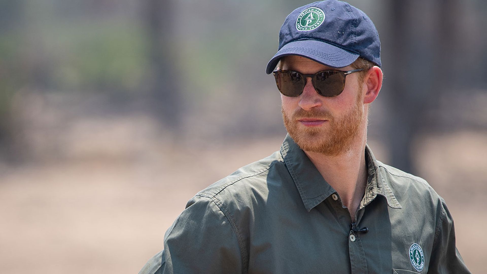 prince harry african parks