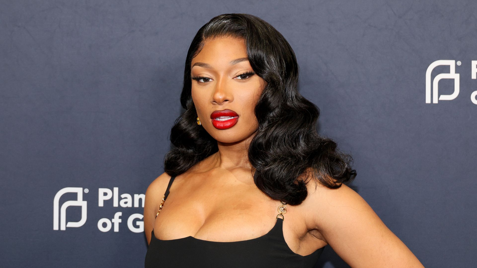 Megan Thee Stallion attends the 2024 Planned Parenthood Of Greater New York Gala on April 16, 2024 in New York City