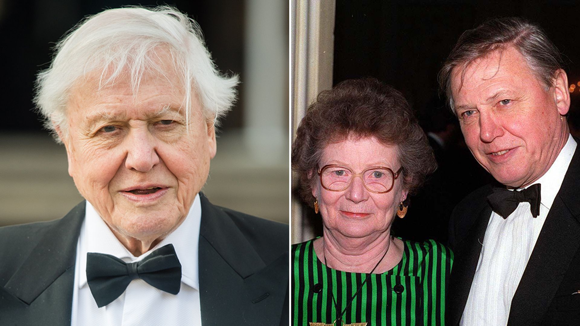 Inside Sir David Attenborough’s marriage to late wife of 47 years