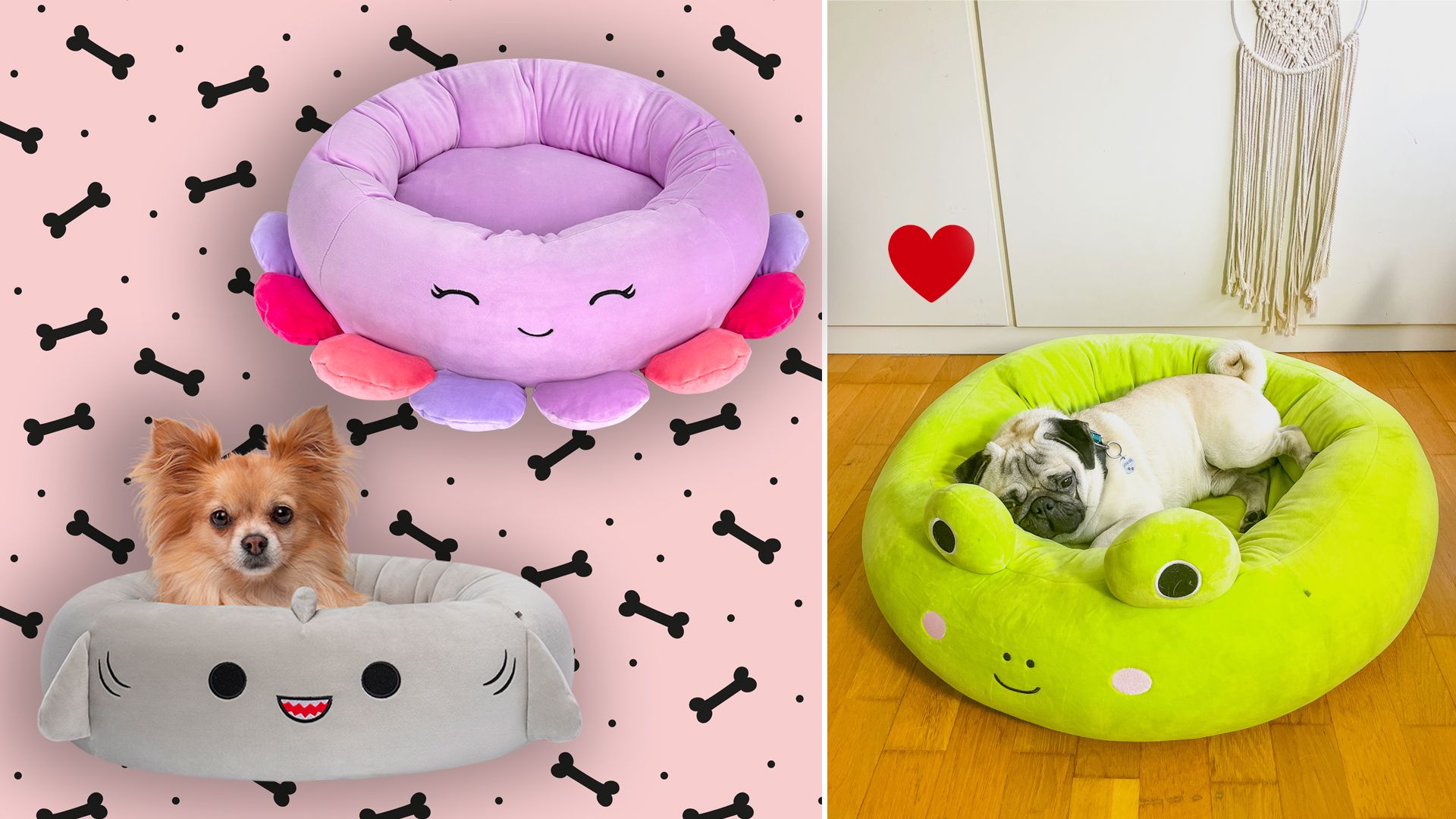 Squishmallows are now making beds for pets and my dog is in heaven