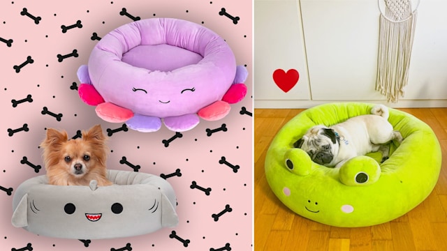 Squishmallows pet bed