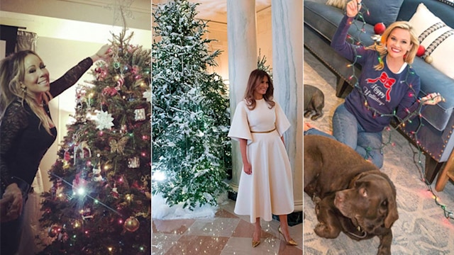 Celebrity christmas trees