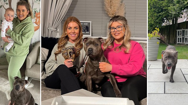 Georgia Bell in her nursery, on her sofa and her dog in the garden