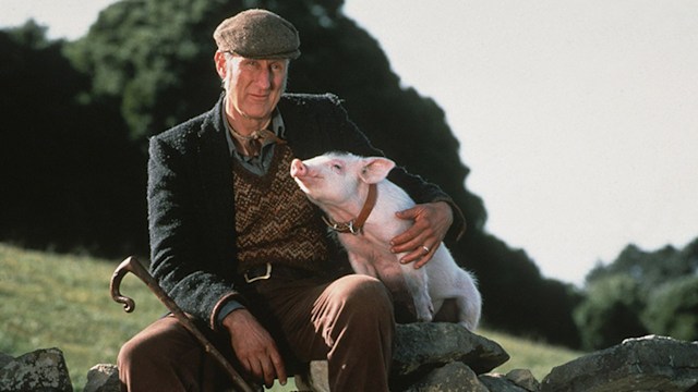 james cromwell babe