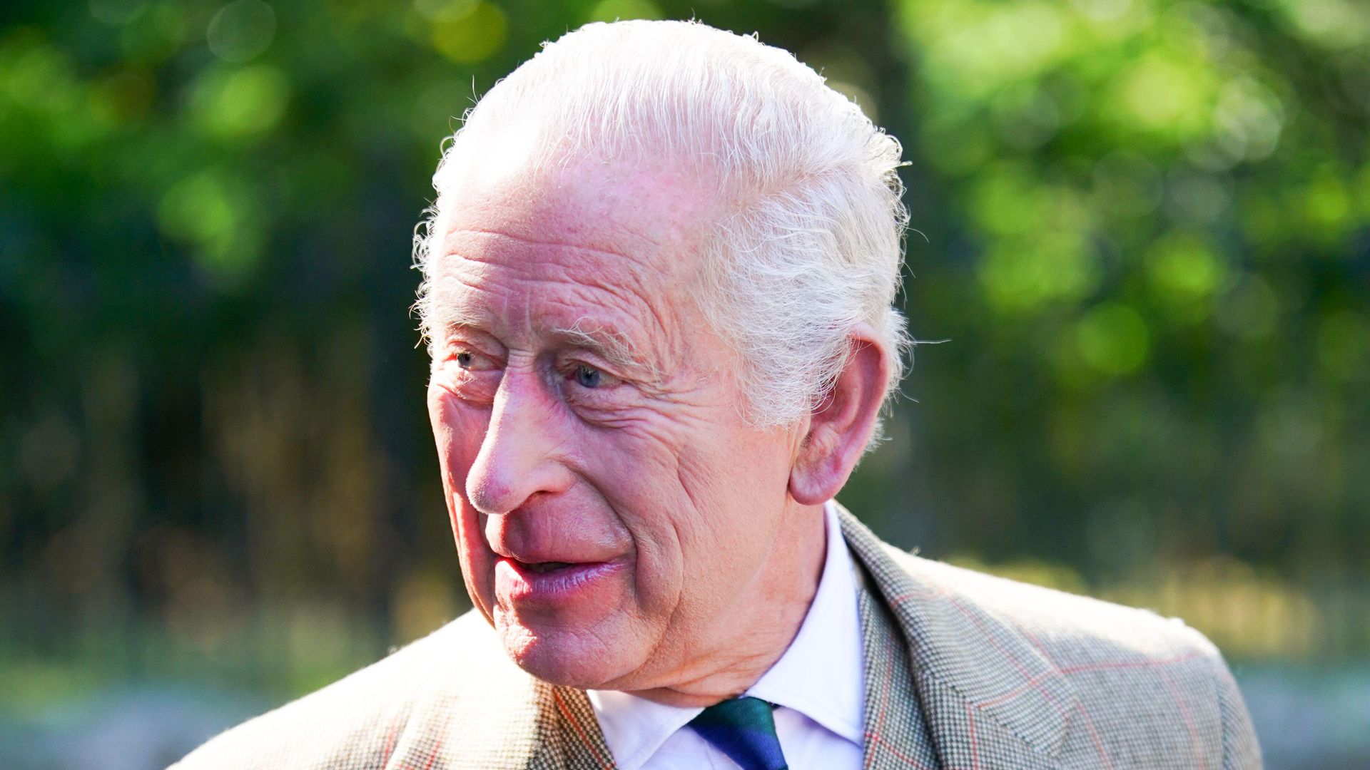 King Charles in tweed jacket and striped silk tie