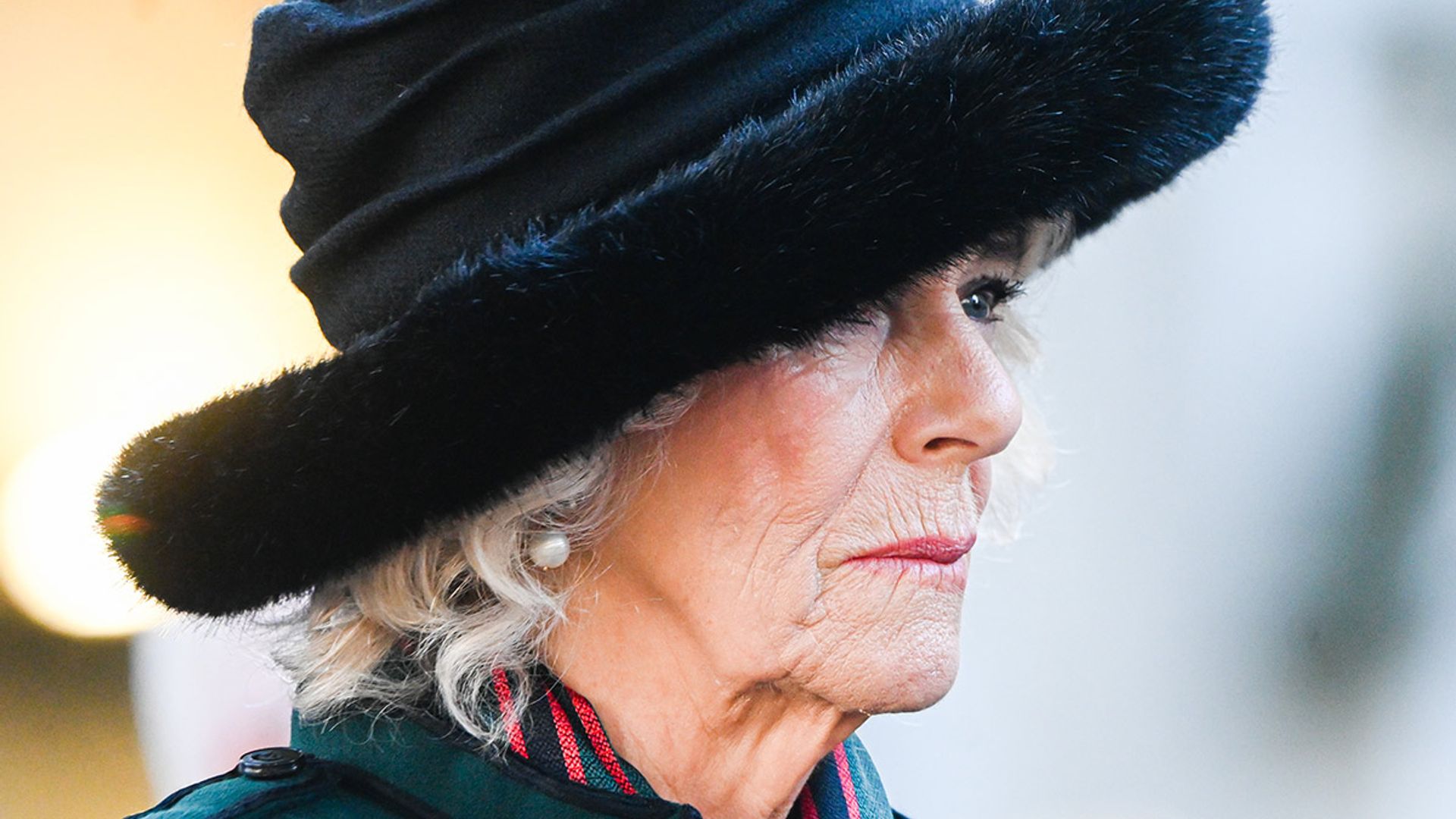 duchess of cornwall field of remembrance