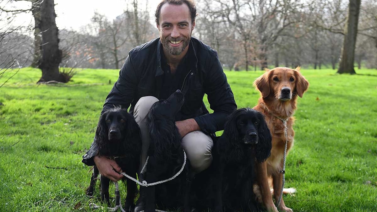 Dog: Impossible' Trainer Opens Up To LittleThings About His