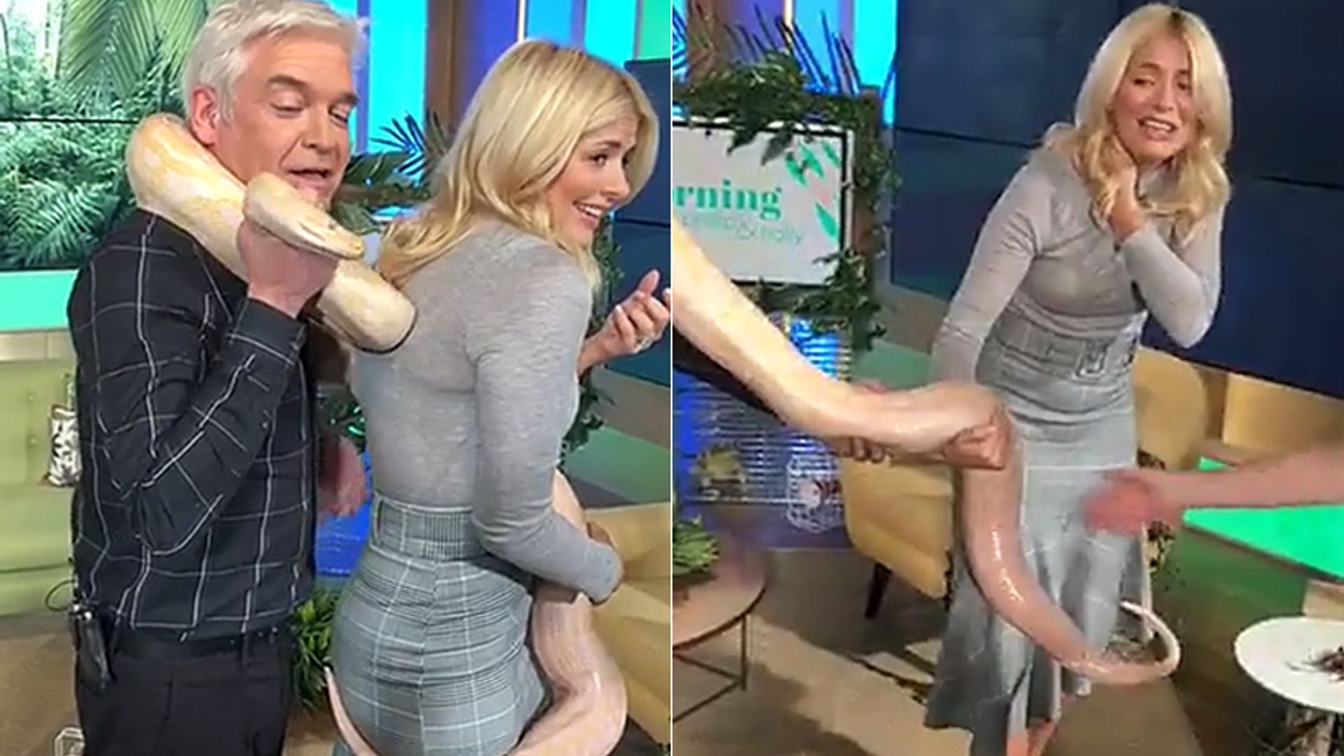 holly willoughby snake