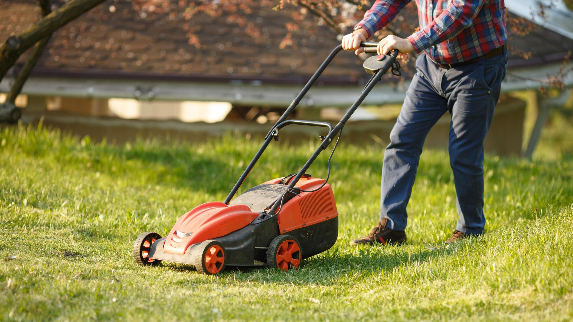 Why you should cut your lawn this Sunday – and the big mistake you’re making