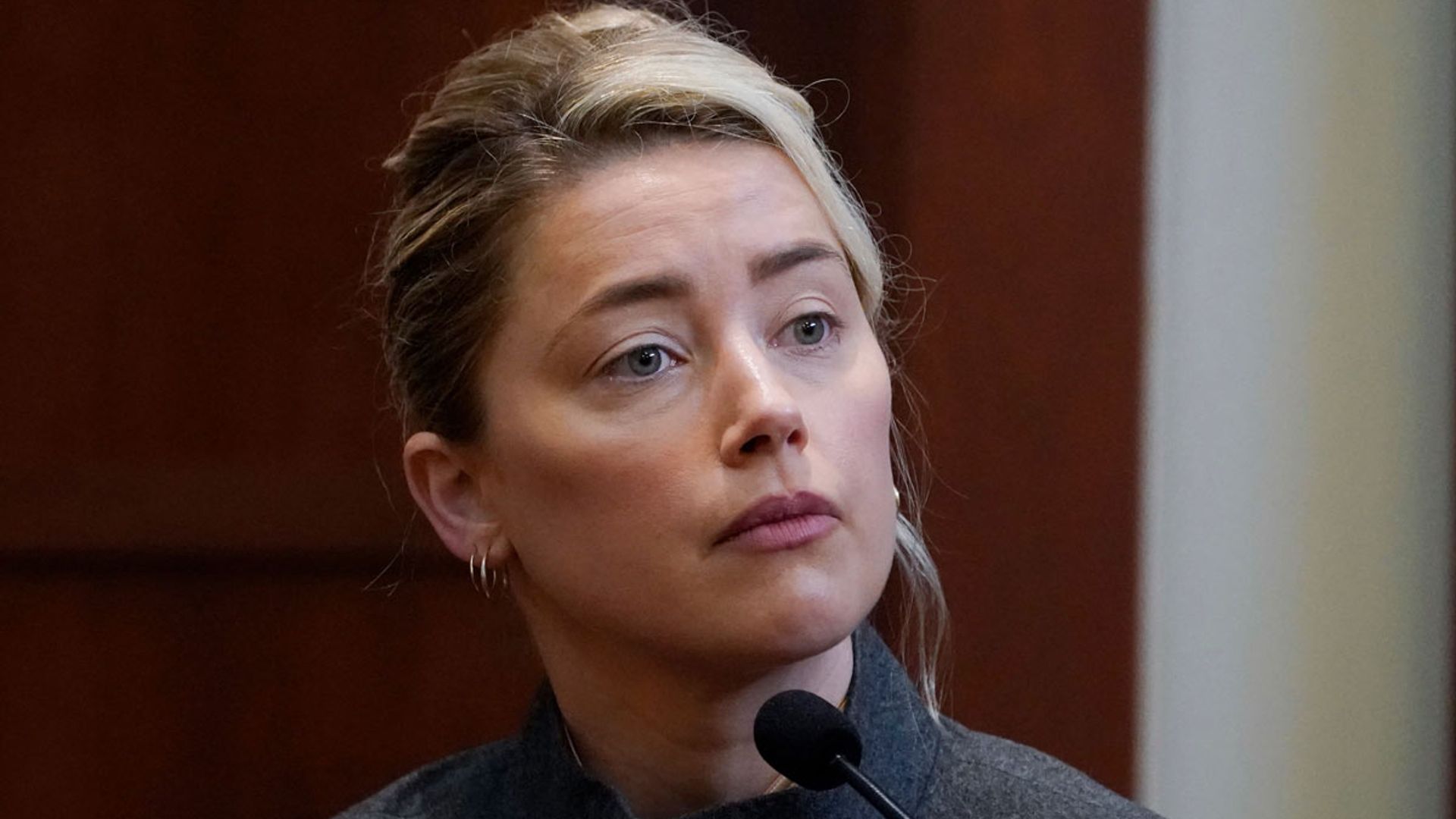 Amber Heard 'my dog stepped on a bee' TikTok: Context explained as