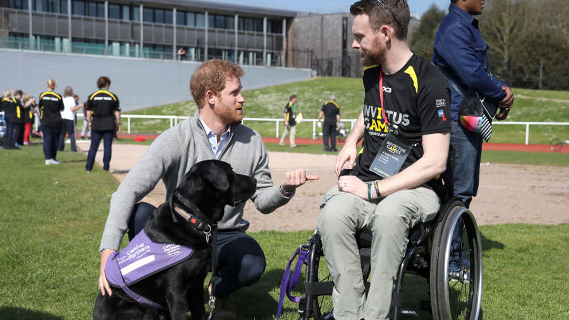 Prince Harry's puppy love: Photos of the British royal with canine friends