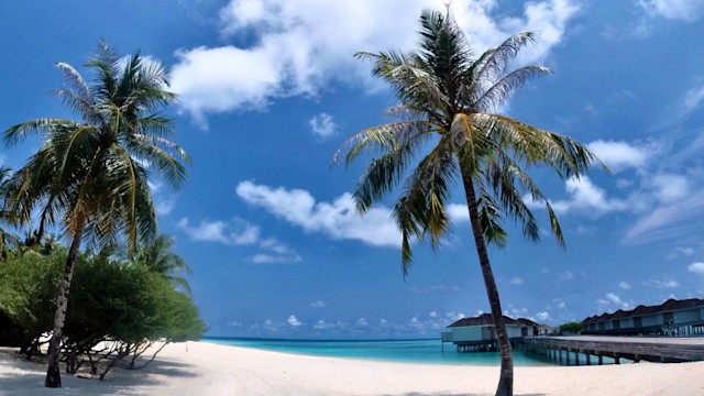 The Maldives beach with palm trees on the white sands as well as the water villas in the background