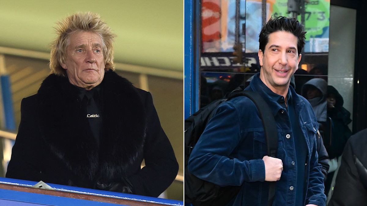 David Schwimmer admits he once served Rod Stewart divorce papers