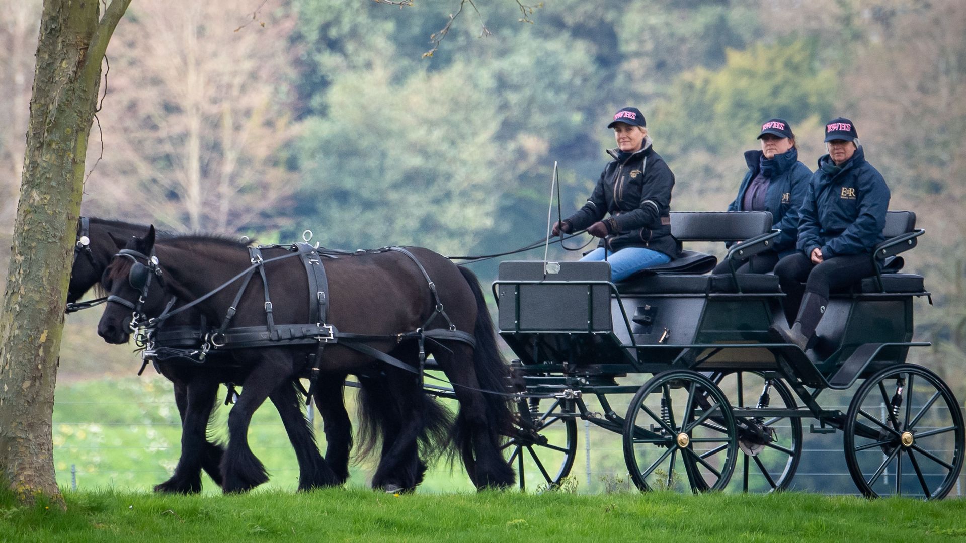The Duchess of Edinburgh carriage driving in Windsor