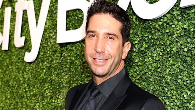 david schwimmer